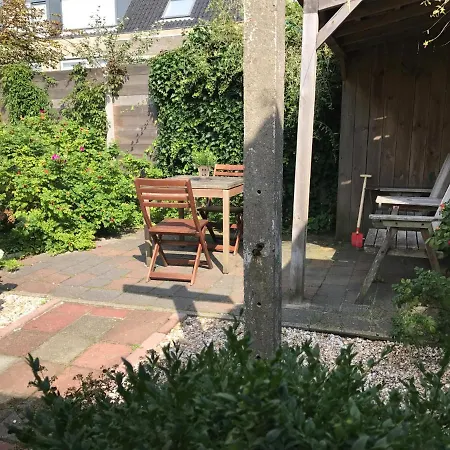 Duinviooltje 2 Vakantiehuis *